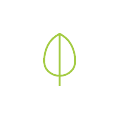 Green icon of a leaf